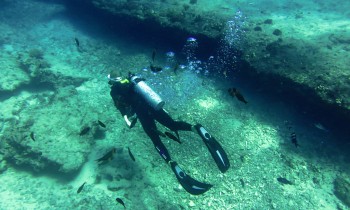 Tips for Choosing The Right Diving Holiday Insurance