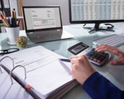 Why Is There A Need For Professional Accountants For Business?