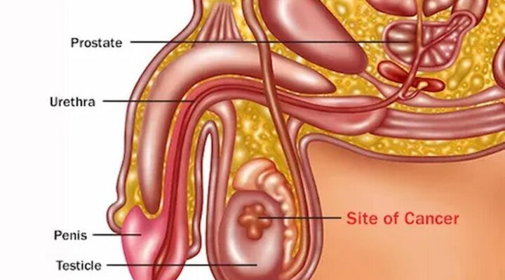 Clinics and Coverage